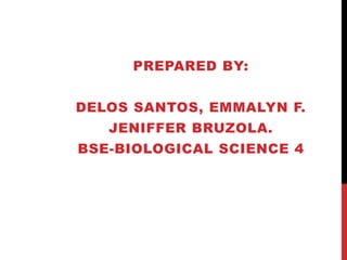 PREPARED BY: 
DELOS SANTOS, EMMALYN F. 
JENIFFER BRUZOLA. 
BSE-BIOLOGICAL SCIENCE 4 
