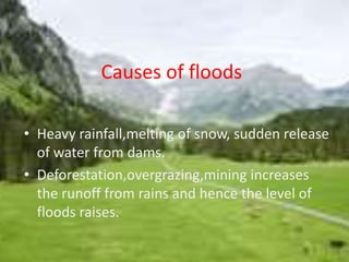 Causes of floods 
• Heavy rainfall,melting of snow, sudden release 
of water from dams. 
• Deforestation,overgrazing,mining increases 
the runoff from rains and hence the level of 
floods raises. 
 
