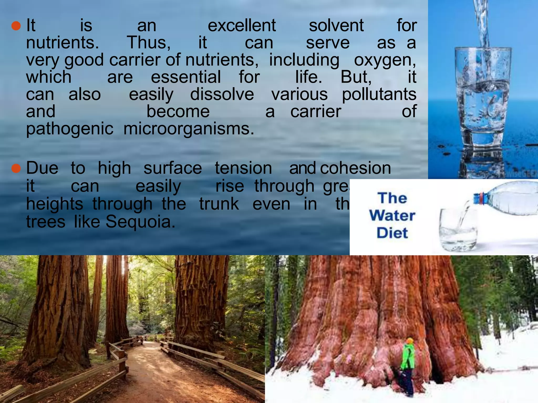 ⚫ It is an excellent solvent for
nutrients. Thus, it can serve as a
very good carrier of nutrients, including oxygen,
which are essential for life. But, it
can also easily dissolve various pollutants
and become a carrier of
pathogenic microorganisms.
⚫ Due to high surface tension and cohesion
it can easily rise through great
heights through the trunk even in the of the
trees like Sequoia.
 