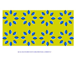 QUAL DAS FLORES ESTÁ GIRANDO PARA A DIREITA? 