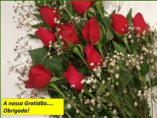 A nossa Gratidão....
Obrigada!
 