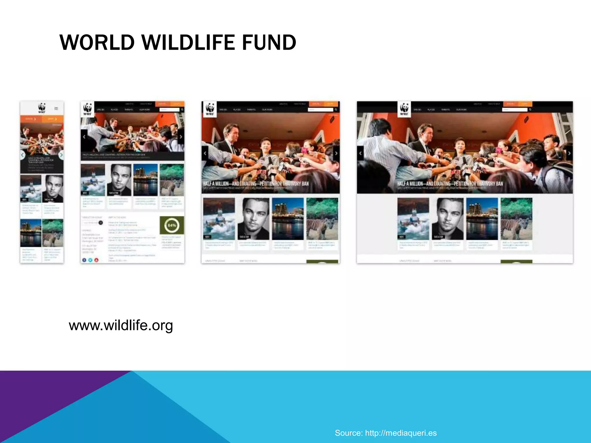WORLD WILDLIFE FUND
www.wildlife.org
Source: http://mediaqueri.es
 