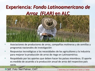 Conversatorio Ministerios Eduacación e Agricultura