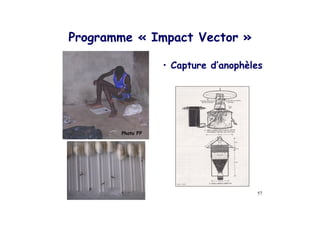 3       ,            J   -

             $   !




    3   53
 