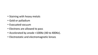 • Staining with heavy metals
• Gold or palladium
• Evacuated vacuum
• Electrons are allowed to pass
• Accelerated by anode +100Ke (40 to 400Ke).
• Electrostatic and electromagnetic lenses
 