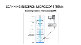 SCANNING ELECTRON MICROSCOPE (SEM):
 
