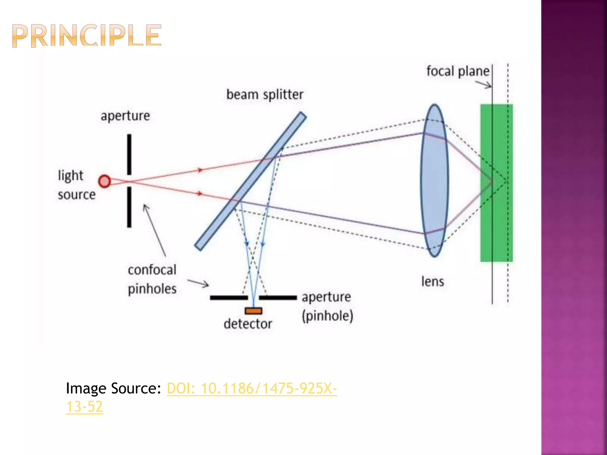 Image Source: DOI: 10.1186/1475-925X-
13-52
 