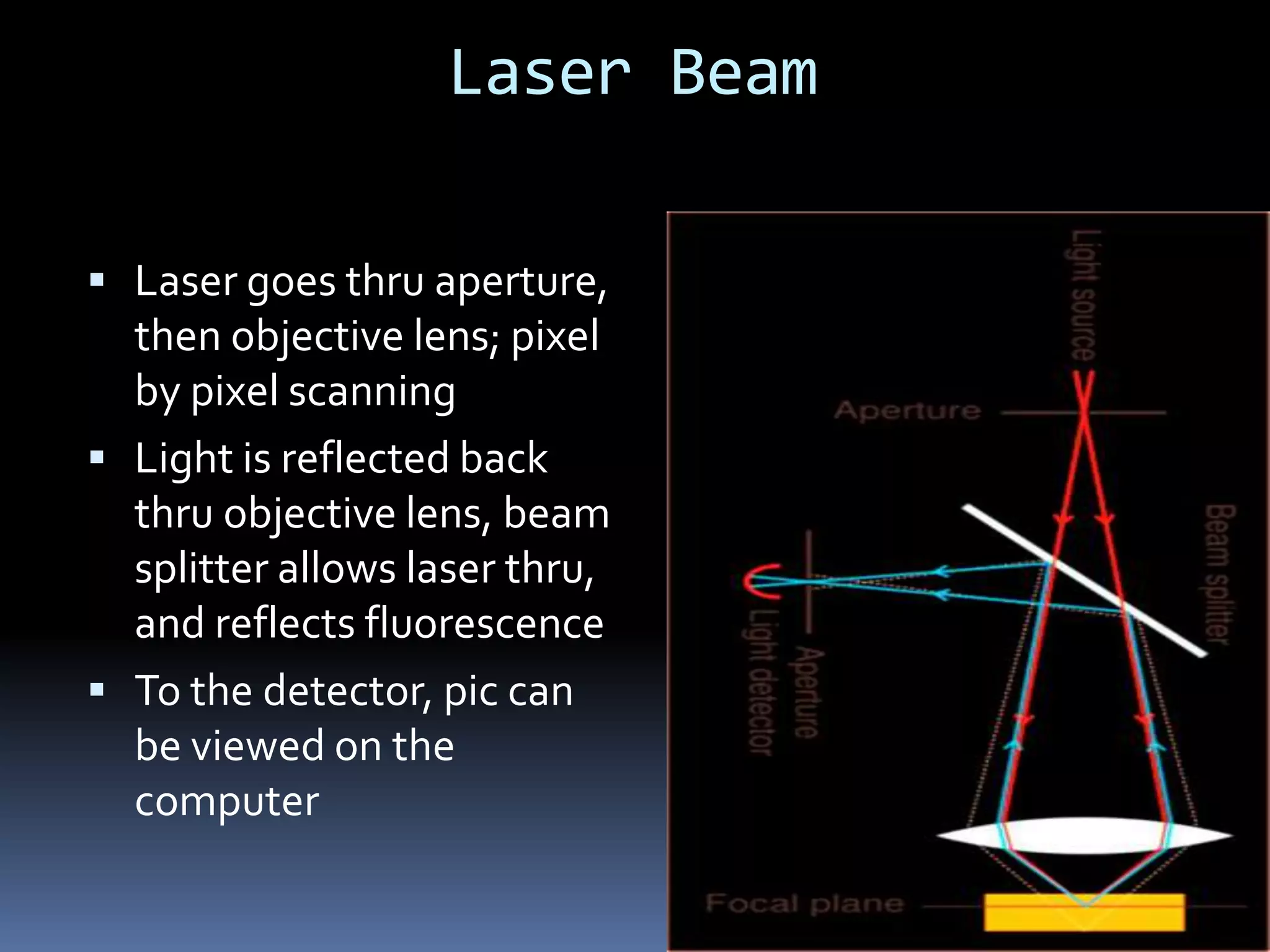Laser Beam

 Laser goes thru aperture,
  then objective lens; pixel
  by pixel scanning
 Light is reflected back
  thru objective lens, beam
  splitter allows laser thru,
  and reflects fluorescence
 To the detector, pic can
  be viewed on the
  computer
 