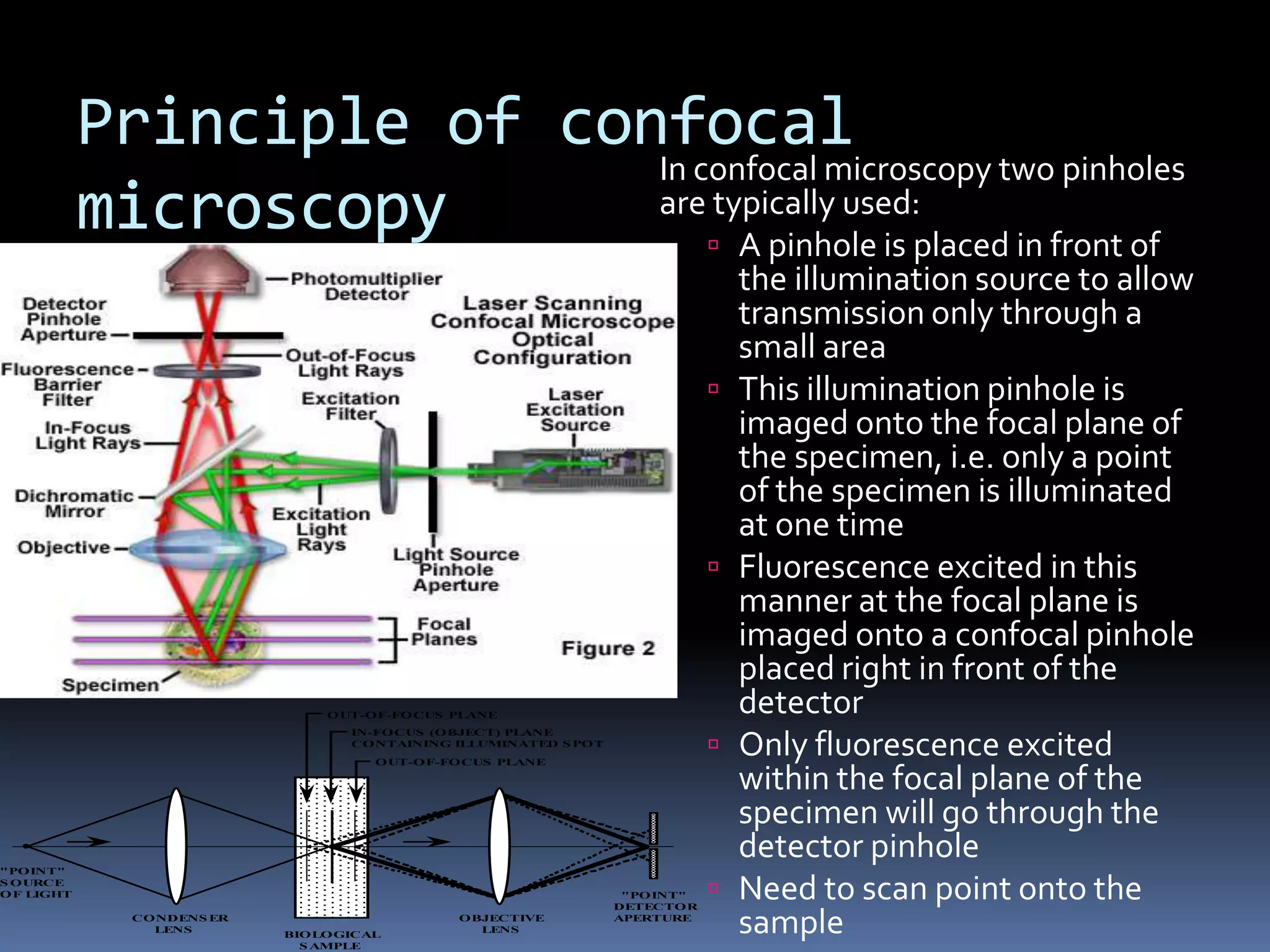 Principle of confocal
                           In confocal microscopy two pinholes
           microscopy      are typically used:
                                A pinhole is placed in front of
                                                                              the illumination source to allow
                                                                              transmission only through a
                                                                              small area
                                                                             This illumination pinhole is
                                                                              imaged onto the focal plane of
                                                                              the specimen, i.e. only a point
                                                                              of the specimen is illuminated
                                                                              at one time
                                                                             Fluorescence excited in this
                                                                              manner at the focal plane is
                                                                              imaged onto a confocal pinhole
                                                                              placed right in front of the
                              OUT-OF-FOCUS PLANE
                                                                              detector
                                                                          
                                IN-FOCUS (OBJECT) PLANE
                                CONTAINING ILLUMINATED S POT
                                   OUT-OF-FOCUS PLANE
                                                                              Only fluorescence excited
                                                                              within the focal plane of the
                                                                              specimen will go through the
"POINT"
                                                                              detector pinhole
S OURCE
OF LIGHT                                                        "POINT"
                                                               DETECTOR
                                                                             Need to scan point onto the
             CONDENS ER
               LENS
                          BIOLOGICAL
                            S AMPLE
                                           OBJECTIVE
                                             LENS
                                                               APERTURE
                                                                              sample
 