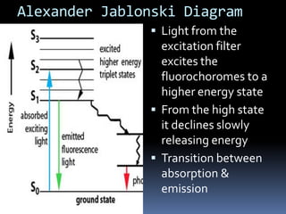 Alexander Jablonski Diagram
                Light from the
                 excitation filter
                 excites the
                 fluorochoromes to a
                 higher energy state
                From the high state
                 it declines slowly
                 releasing energy
                Transition between
                 absorption &
                 emission
 