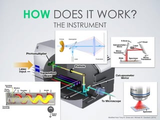 HOW DOES IT WORK? THE INSTRUMENT 
Modified from Tony B. Gines and Michael W. Davidson (2014)  