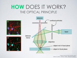 HOW DOES IT WORK? THE OPTICAL PRINCIPLE 
Creative Commons, Rice University. (2014) 
Nathan S. Claxton , Thomas J. Fellers , Michael W. Davidson  