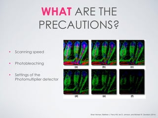 WHAT ARE THE PRECAUTIONS? 
•Scanning speed 
•Photobleaching 
•Settings of the Photomultiplier detector 
Brian Herman, Matthew J. Parry-Hill, Ian D. Johnson, and Michael W. Davidson (2014)  
