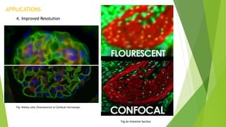 Confocal microscopy | PPTX