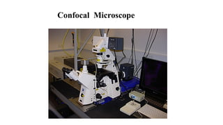 confocal microscopy- and its uses and applications | PPTX