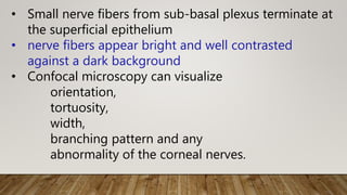 • Small nerve fibers from sub-basal plexus terminate at
the superficial epithelium
• nerve fibers appear bright and well contrasted
against a dark background
• Confocal microscopy can visualize
orientation,
tortuosity,
width,
branching pattern and any
abnormality of the corneal nerves.
 