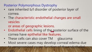 Posterior Polymorphous Dystrophy
• rare inherited b/l disorder of posterior layer of
cornea.
• The characteristic endothelial changes are small
vesicles
or areas of geographic lesions.
• Endothelial cells lining of the posterior surface of the
cornea have epithelial like features.
• These cells can also cover TM glaucoma
• Most severe cases may develop corneal edema due
to compromised pump function of the endothelial
 