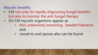 Mycotic keratitis
• CM not only for rapidly diagnosing fungal keratitis
but also to monitor the anti-fungal therapy
• On CM mycotic organisms appear as
• thin, extensively branching, beaded filaments
and
• round to oval spores also can be found
 