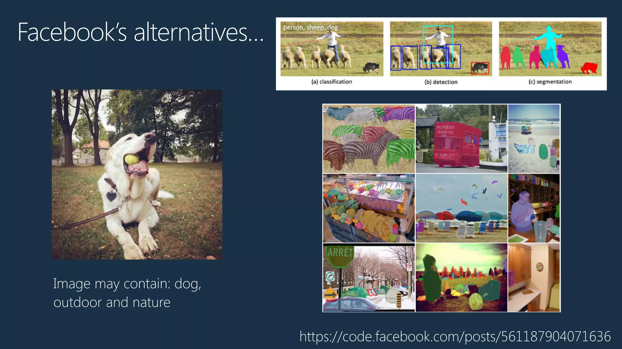 Facebook’s alternatives…
Image may contain: dog,
outdoor and nature
https://code.facebook.com/posts/561187904071636
 