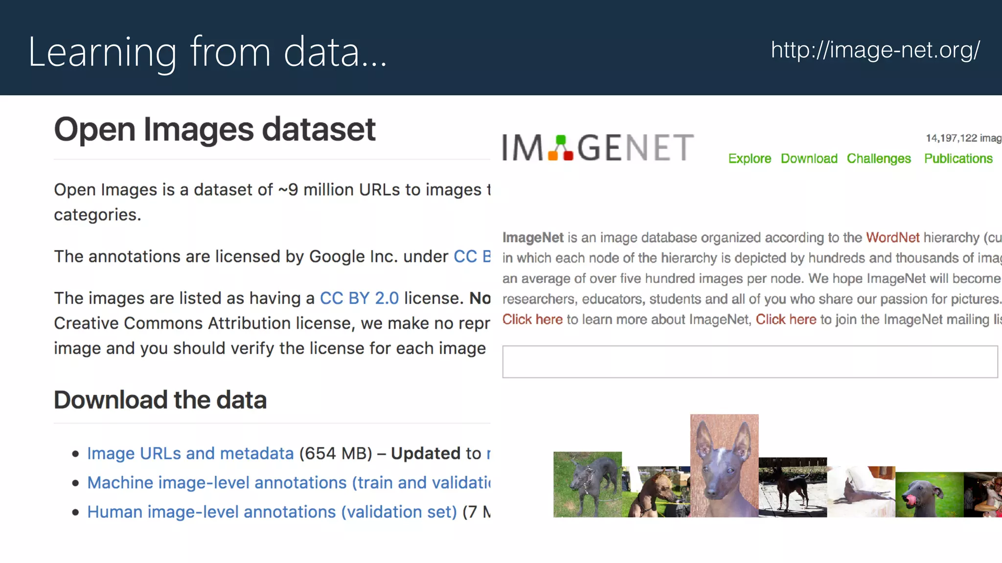 Learning from data… http://image-net.org/
 