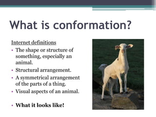 What is conformation?
Internet definitions
• The shape or structure of
something, especially an
animal.
• Structural arran...