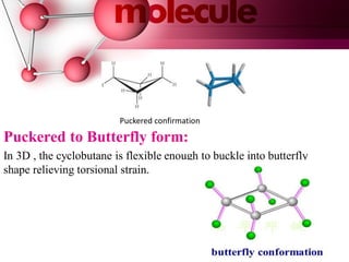 Conformational analysis
