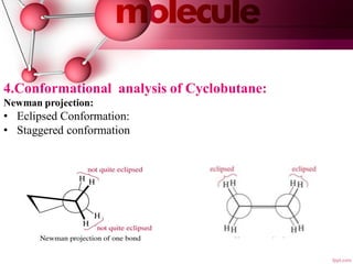Conformational analysis