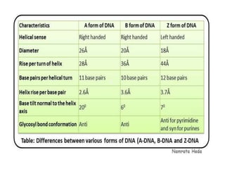 Conformational study of polynucleotide | PPT