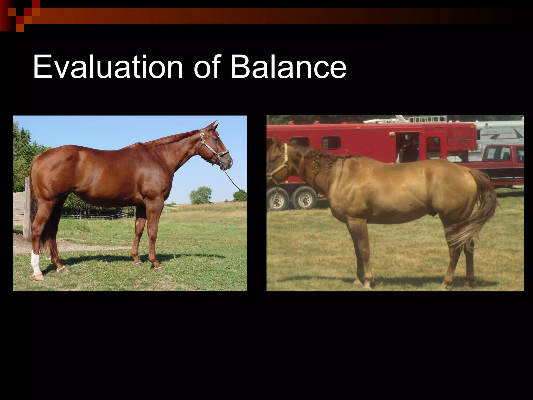 Evaluation of Balance 