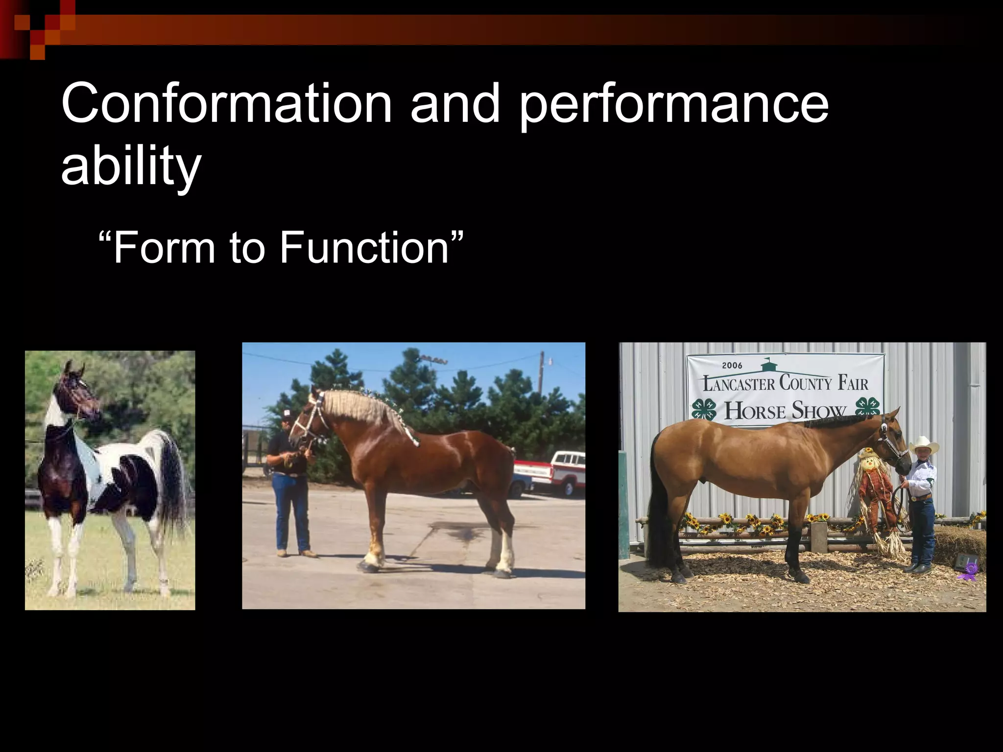 Conformation and performance ability “Form to Function” 