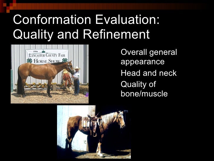 Conformation And Selection Of Horses (Anderson)
