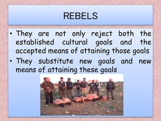 REBELS
• They are not only reject both the
established cultural goals and the
accepted means of attaining those goals
• They substitute new goals and new
means of attaining these goals
 