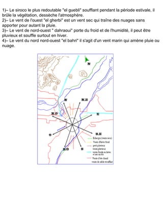1)– Le siroco le plus redoutable "el guebli" soufflant pendant la période estivale, il
brûle la végétation, dessèche l'atmosphère.
2)– Le vent de l'ouest "el gherbi" est un vent sec qui traîne des nuages sans
apporter pour autant la pluie.
3)– Le vent de nord-ouest " dahraoui" porte du froid et de l'humidité, il peut être
pluvieux et souffle surtout en hiver.
4)– Le vent du nord nord-ouest "el bahri" il s'agit d'un vent marin qui amène pluie ou
nuage.
 
