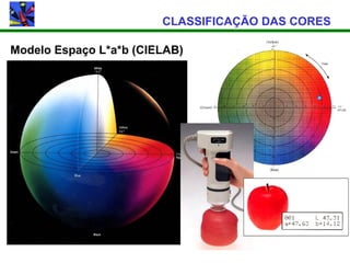 CLASSIFICAÇÃO DAS CORES

Modelo Espaço L*a*b (CIELAB)
 