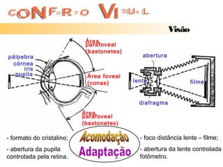 Visão
                            Área
                            parafoveal
                            (bastonetes)
pálpebra                                      abertura
 córnea
     íris
  pupila                    Área foveal
                            (cones)        lente                 filme


                                             diafragma
                           Área
                           parafoveal
                           (bastonetes)

- formato do cristalino;                     - foco distância lente – filme;
- abertura da pupila                         - abertura da lente controlada
controlada pela retina.                      fotômetro.
 