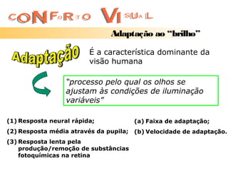 Adaptação ao “brilho”

                         É a característica dominante da
                         visão humana

                  “processo pelo qual os olhos se
                  ajustam às condições de iluminação
                  variáveis”

(1) Resposta neural rápida;             (a) Faixa de adaptação;
(2) Resposta média através da pupila;   (b) Velocidade de adaptação.
(3) Resposta lenta pela
    produção/remoção de substâncias
    fotoquímicas na retina
 