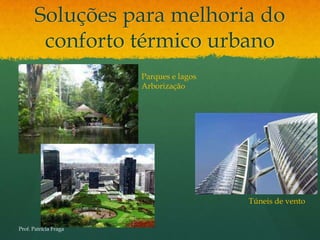 Soluções para melhoria do
        conforto térmico urbano
                       Parques e lagos
                       Arborização




                                         Túneis de vento


Prof. Patrícia Fraga
 