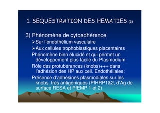 3) Phénomène de cytoadhérence
   Sur l’endothélium vasculaire
   Aux cellules trophoblastiques placentaires
  Phénomène bien élucidé et qui permet un
   développement plus facile du Plasmodium
  Rôle des protubérances (knobs)+++ dans
   l’adhésion des HP aux cell. Endothéliales;
  Présence d’adhésines plasmodiales sur les
   knobs, très antigéniques (PfHRP1&2, d’Ag de
   surface RESA et PfEMP 1 et 2)
 