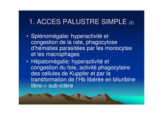 1. ACCES PALUSTRE SIMPLE (2)
• Splénomégalie: hyperactivité et
  congestion de la rate, phagocytose
  d’hématies parasitées par les monocytes
  et les macrophages
• Hépatomégalie: hyperactivité et
  congestion du foie, activité phagocytaire
  des cellules de Kuppfer et par la
  transformation de l’Hb libérée en biluribine
  libre sub-ictère
 