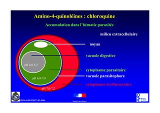 /     ; !    <"              !
               " !/!
                "      : /     1

                                   /       ! =     " !

                             * !

                        5"!         '      5
%+
%+
                        " 1
                         *         / 1
     %+
     %+
                        5" !       1           1

                        " 1
                         *         /       *       "*
          %+
 