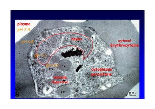 -       39


    -        3@


                  -   3

                          - <3
 