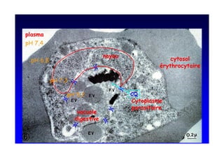 -       39


    -        3@


                  -   3

                          - <3   +
 