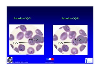 A             A6




          A         #& A
# A           # A
 