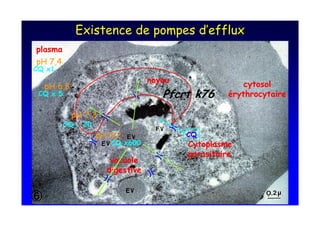 $+                             "    +

-           39
+       -

        -        3@
    +        &                            #!       (> ,
                      -    3
                  +
                               - <3            +
                                  +   ,
 