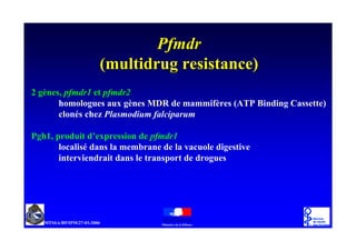 -/!          !'                      ".
'   ,
        /       '!     !='     6   / //            -        '   .
    "           " @

' #,1       !    :=1
        "               / /3        5"!        '       5
            5                  1          '!
 