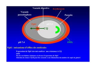 E "!        '       5   F *     "*
               E "!
       1              1



                               '#              1) &+
                                               A



       1) +
          ;                                                              > ?

' # </ "       /       : !=         /     "!
      F=1                 '#    5     "        !         "G A
      /
               "               "    5 ! :=1               '#
           "       "       A 61 ! H     " G!           / !     !    /3    "1
 