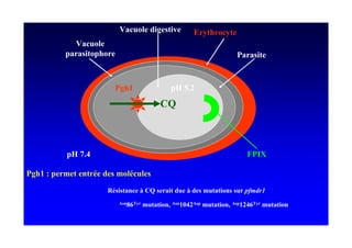 E "!              '    5        F *      "*
           E "!
       1          1



                          '#                    1) &+
                                                A



       1) +
          ;                                                                 > ?

' # <1 /                  /       "!

                      6           "G A              ! G       /!        !

                              %   *    /!       , # ;     1   /!    , 1# ;   *   /!
 