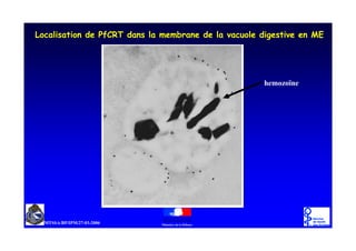 @   #!   ?   ;           =1




                 / @ J
 