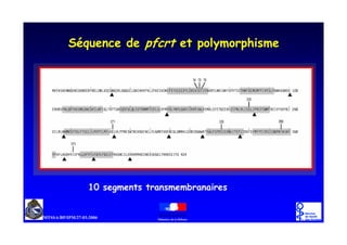 A       !




    -       ;
 