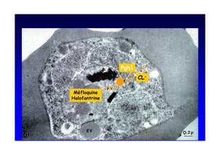 #   -
               @

 = !
.  !
 